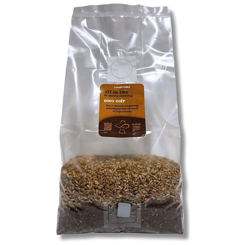 All-in-one coir mushroom grow bag with organic rye grain and coconut coir substrate for mushroom cultivation