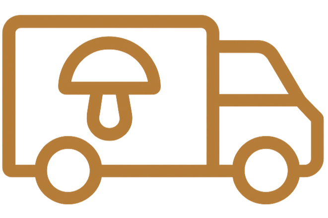 Alt Image