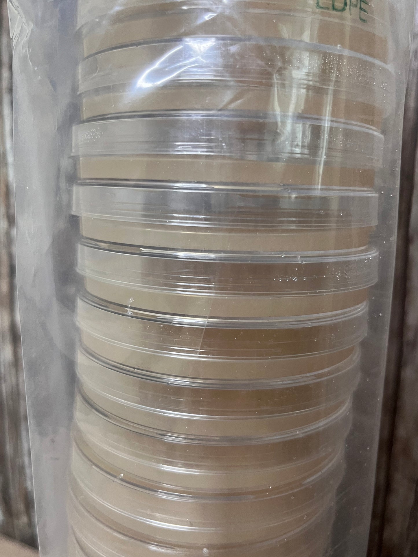 Pre-Poured MYA Agar Plates – High-Quality Medium for Mycelium Cultivation with Free Parafilm