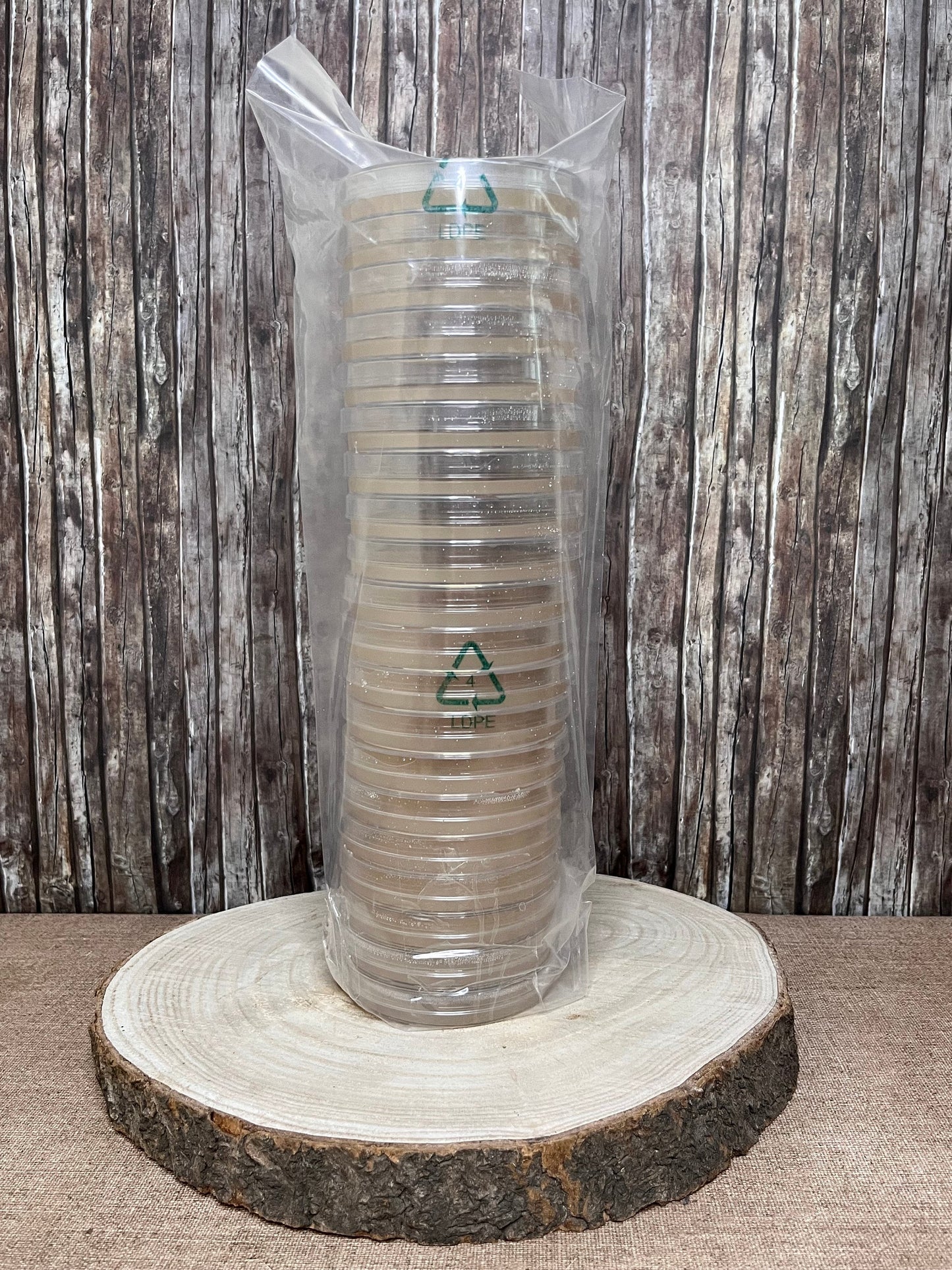 Pre-Poured MYA Agar Plates – High-Quality Medium for Mycelium Cultivation with Free Parafilm