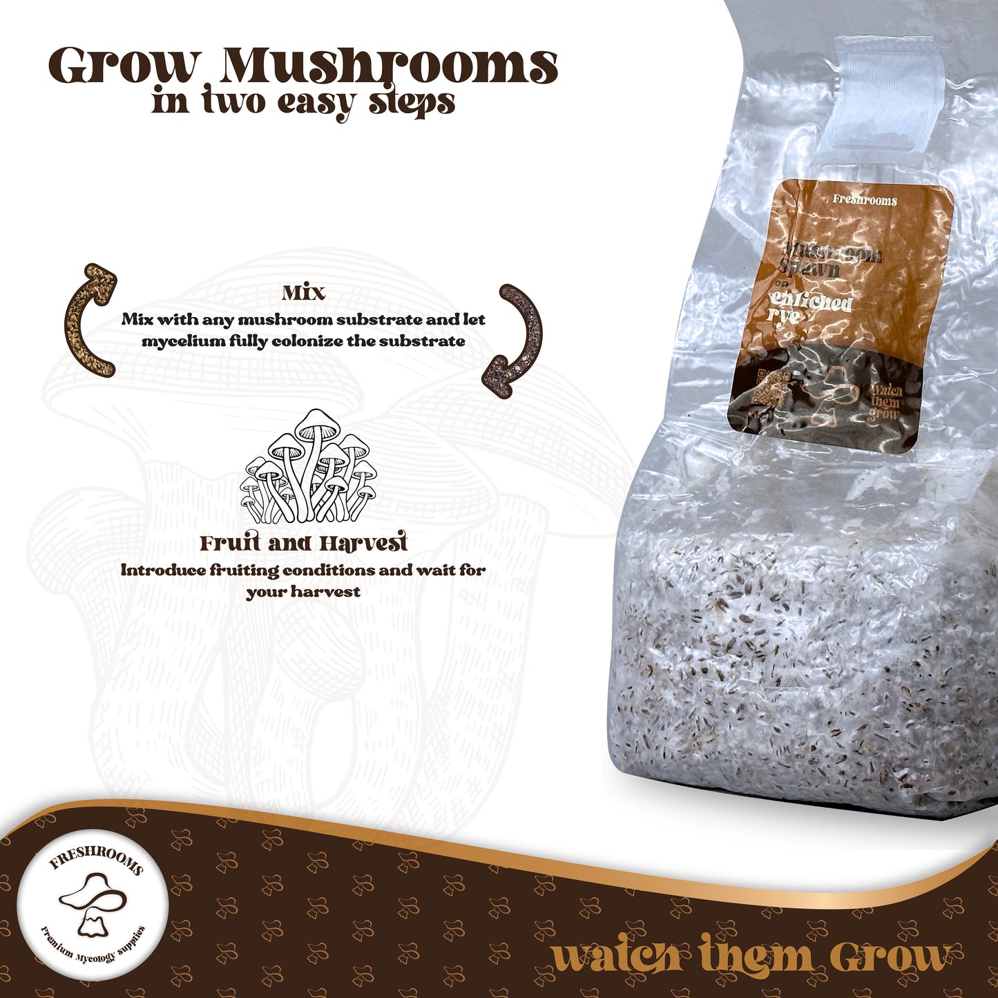 Fully Colonized Mushroom Spawn Bag – Ready-to-Use Grain Spawn for DIY Cultivation