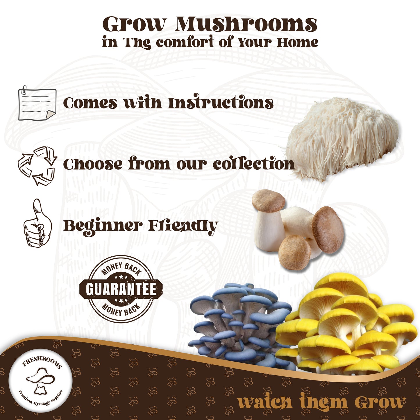 Fully Colonized Mushroom Spawn Bag – Ready-to-Use Grain Spawn for DIY Cultivation