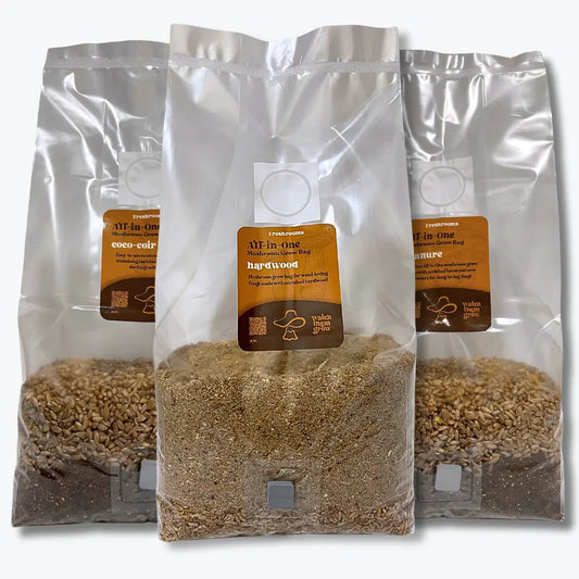 What Are All-in-One Grow Bags?