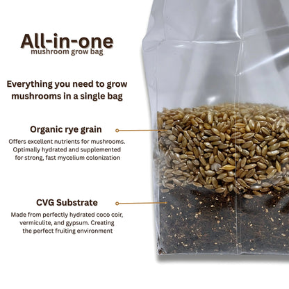 All-In-One Coconut Coir Mushroom Grow Bag – Organic Rye Grain + CVG substrate (Coconut Coir, Vermiculite, and Gypsum) My Store