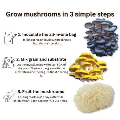 Hardwood  All-In-One Mushroom Grow Bag - Organic Rye Grain and Hardwood Substrate