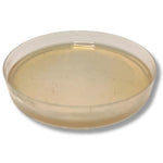 Placas de agar MYA pre-vertidas: medio de alta calidad para el cultivo de micelio con Parafilm gratis.