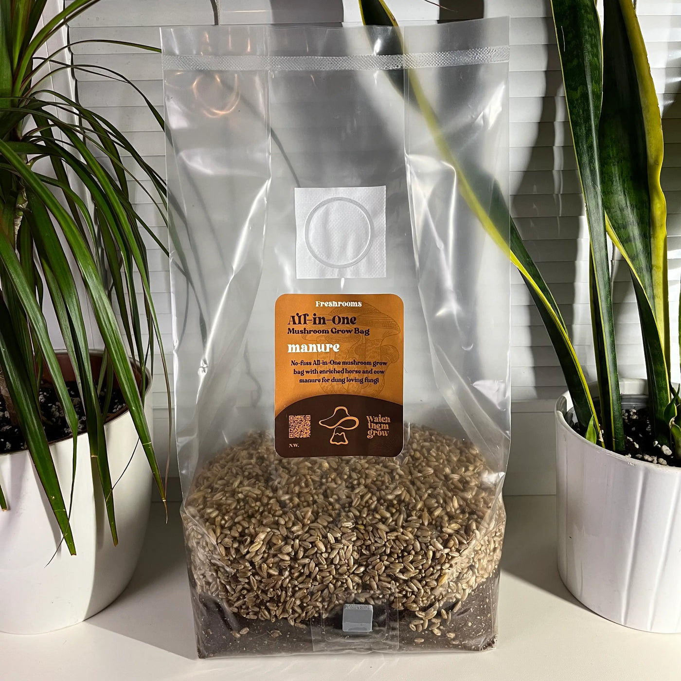 Manure All-in-One Mushroom Grow Bag - Organic Rye Grain and Manure Substrate
