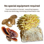 Bolsa de cultivo de setas todo en uno de madera dura - Especies que prefieren la madera - Kit de cultivo estéril - Serrín de madera dura suplementado + Grano de centeno orgánico