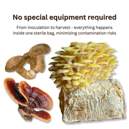 Hardwood  All-In-One Mushroom Grow Bag - Organic Rye Grain and Hardwood Substrate