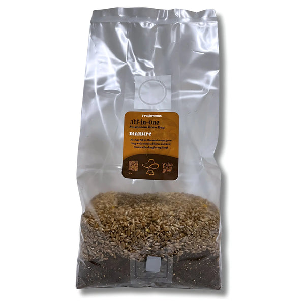 All-in-one manure mushroom grow bag with organic rye grain substrate for home cultivation