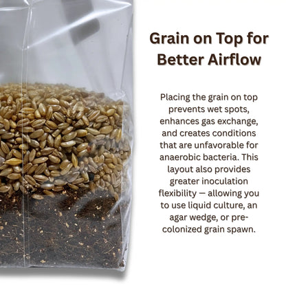 Grain on top design for better airflow - premium coir mushroom substrate with optimal ventilation system