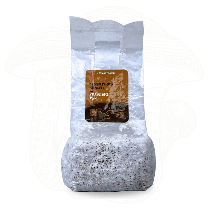 Fully Colonized Mushroom Spawn Bag – Ready-to-Use Grain Spawn for DIY Cultivation My Store