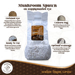 Fully Colonized Mushroom Spawn Bag – Ready-to-Use Grain Spawn for DIY Cultivation My Store