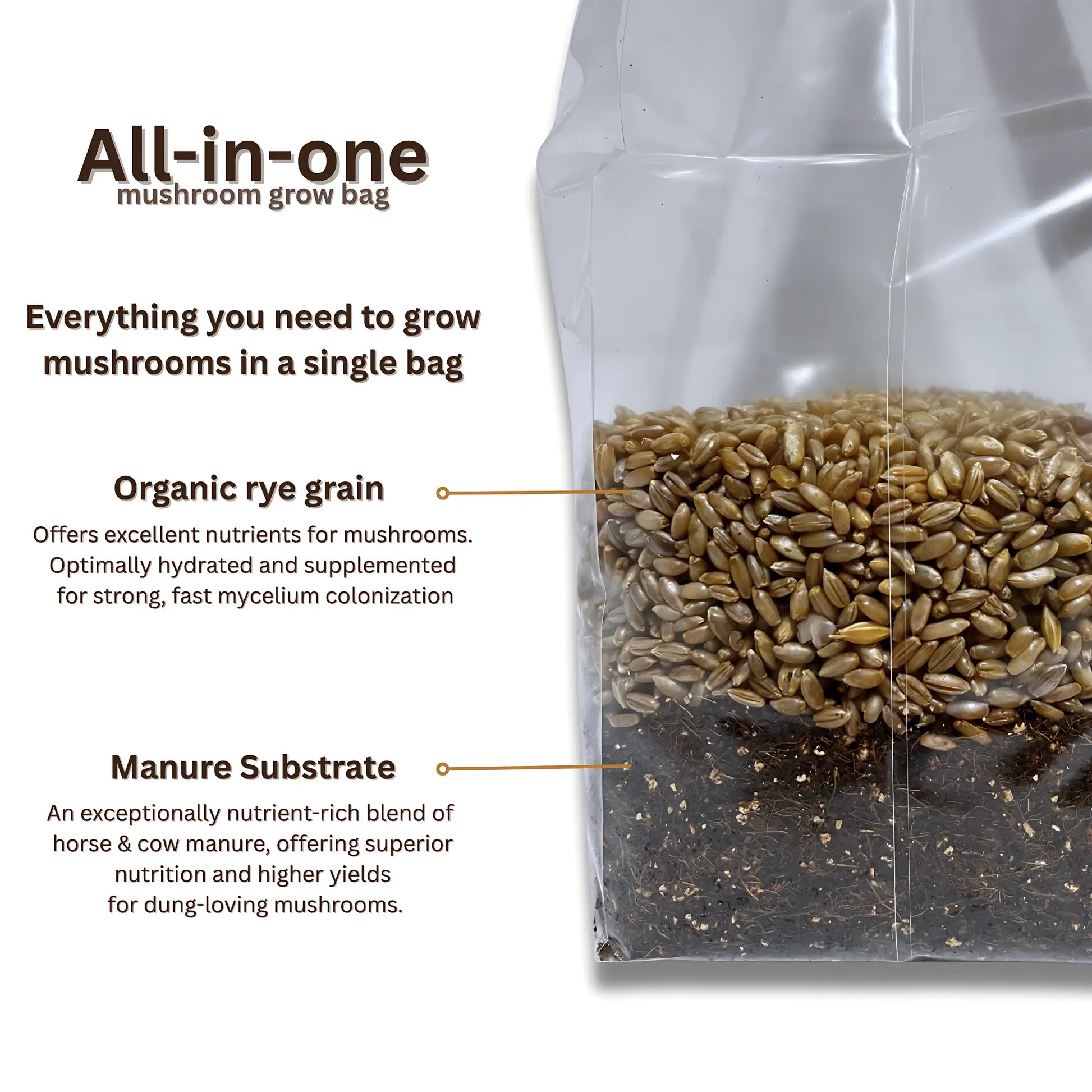 All-in-one mushroom grow bag features - sterile substrate, grain spawn, and injection port for easy inoculation