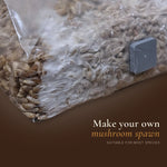 Rye grain spawn bag colonized with mushroom mycelium, make your own spawn for any species