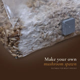 Rye grain spawn bag colonized with mushroom mycelium, make your own spawn for any species